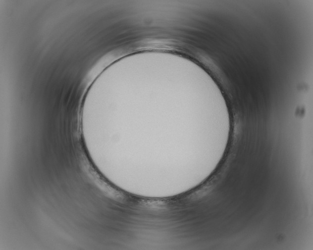 X0000110891370200907301532