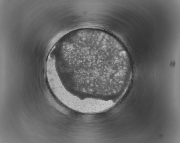X0000110891371200907301532
