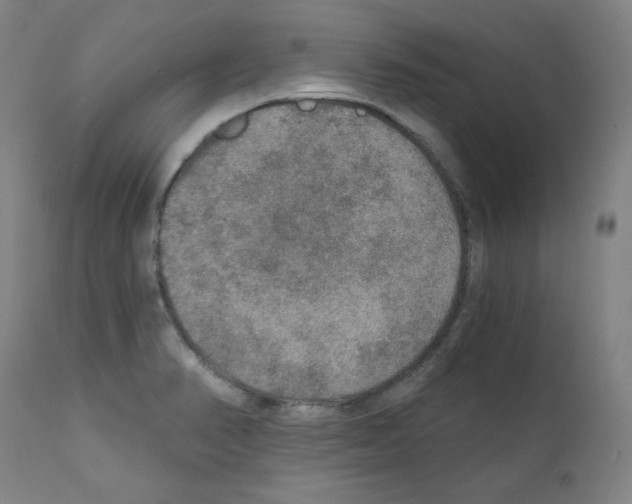 X0000110891374200907301532