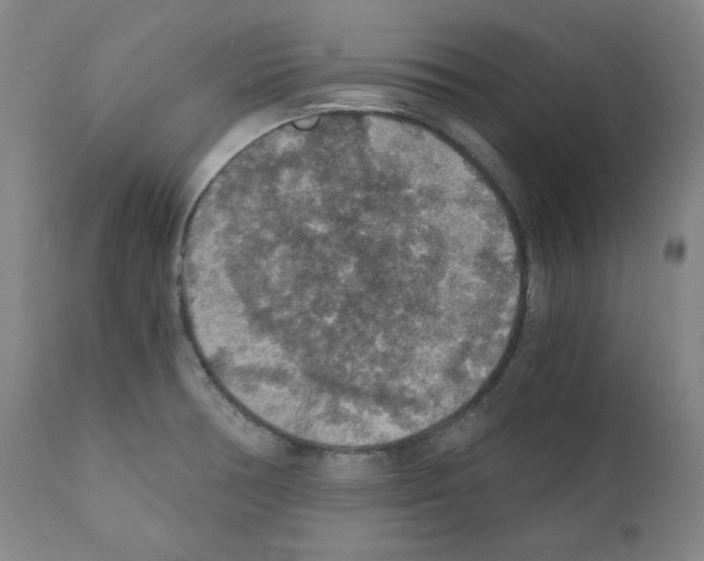 X0000110891378200907301532