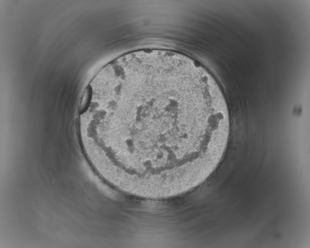 X0000110891379200907301532