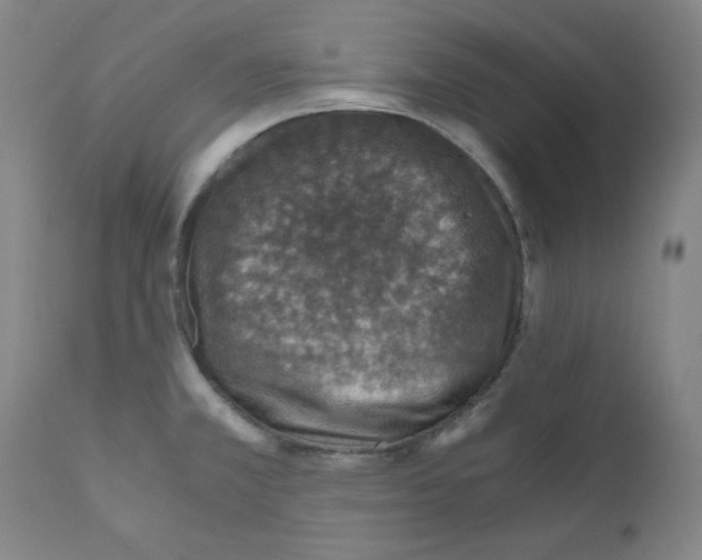 X0000110891381200907301532