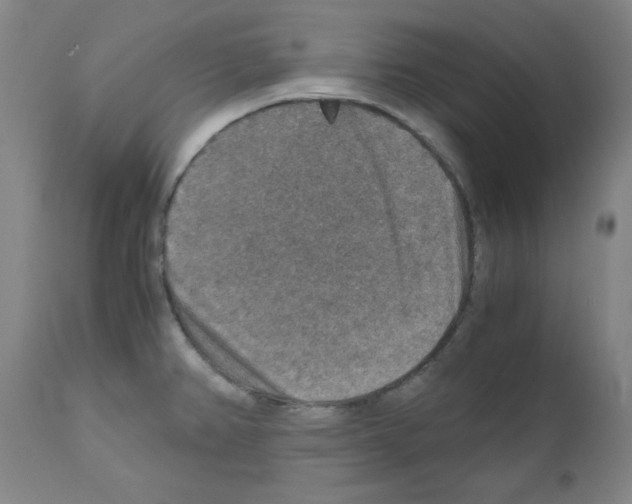 X0000110891382200907301532