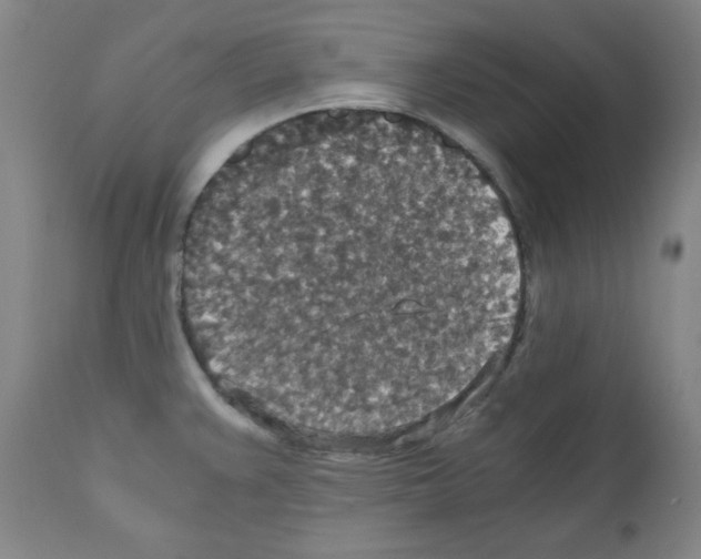 X0000110891383200907301532