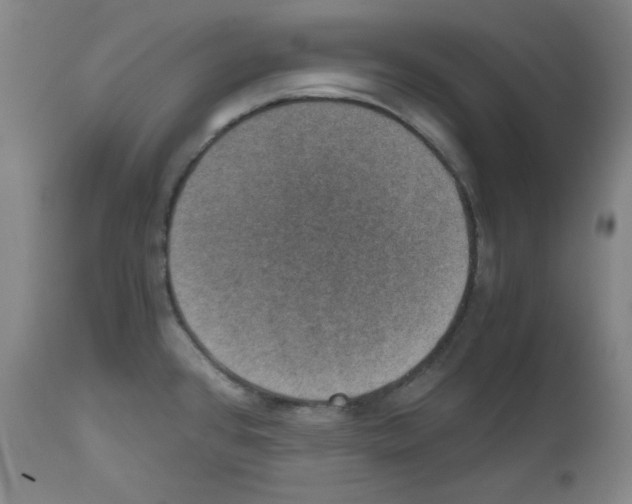 X0000110891384200907301532