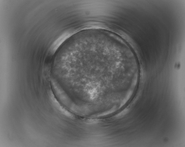 X0000110891385200907301532
