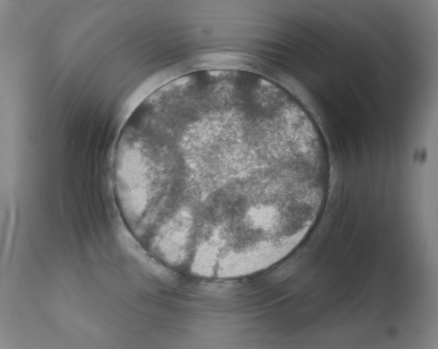 X0000110891386200907301532
