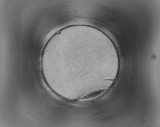 X0000110891388200907301532