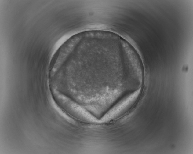 X0000110891389200907301532