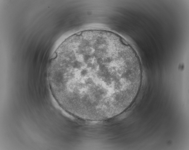 X0000110891390200907301532