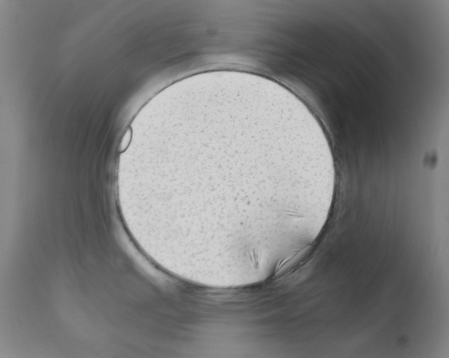 X0000110891391200907301532