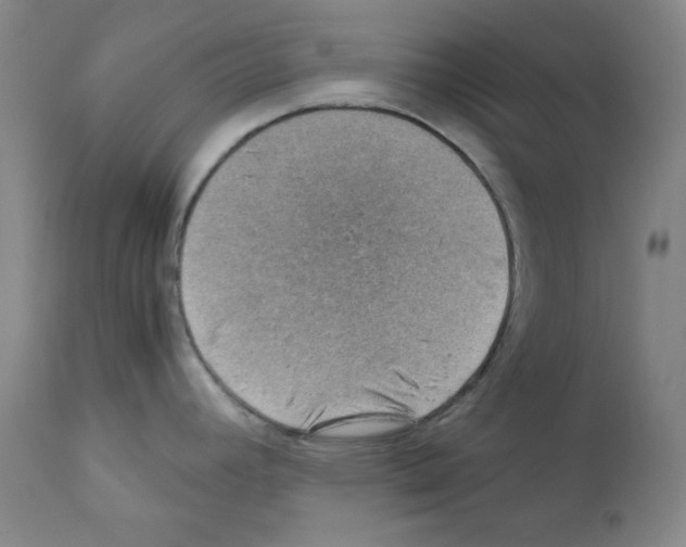 X0000110891392200907301532