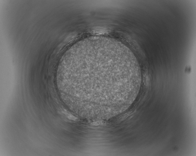 X0000110891393200907301531