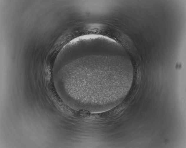 X0000110891394200907301531
