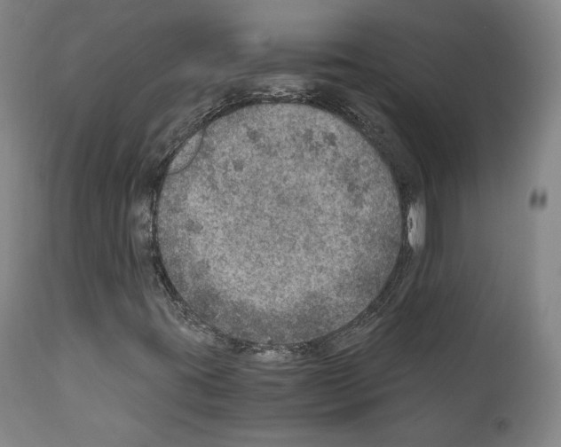 X0000110891395200907301531