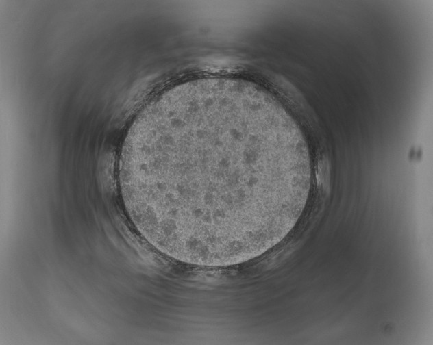 X0000110891396200907301531