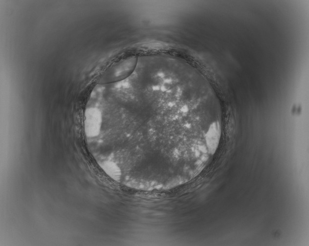 X0000110891397200907301531