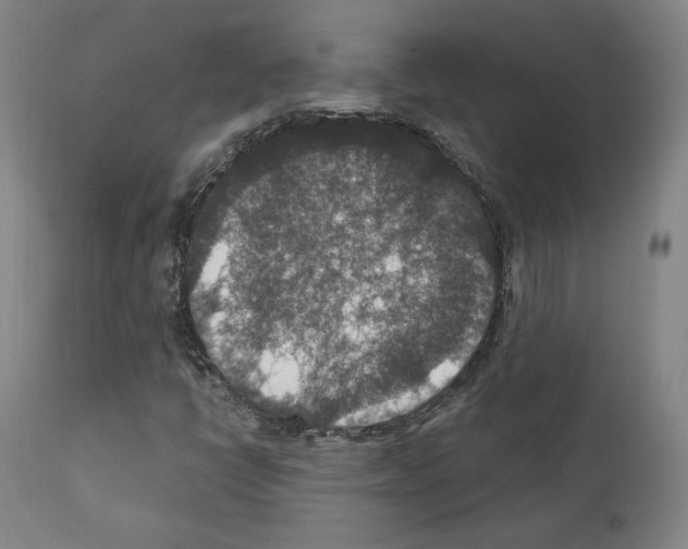 X0000110891398200907301531