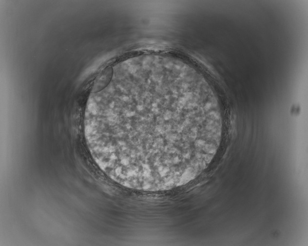 X0000110891399200907301531