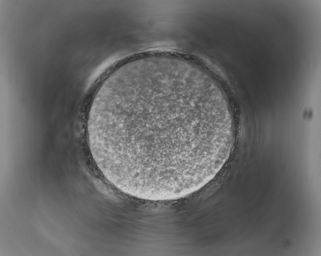 X0000110891400200907301531