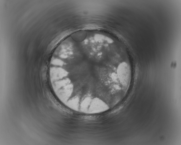 X0000110891401200907301531