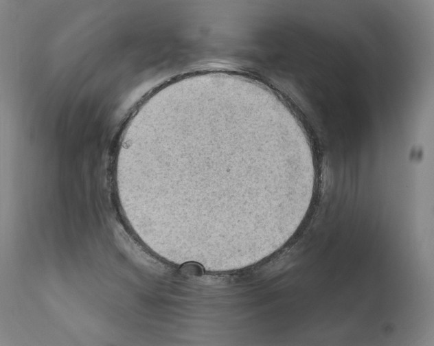 X0000110891404200907301531