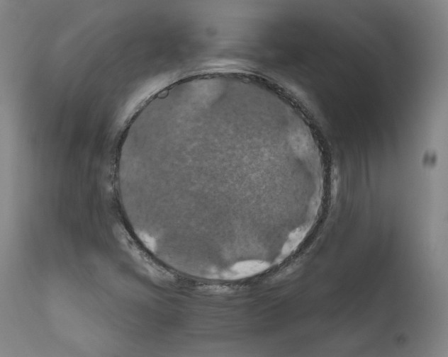X0000110891405200907301531