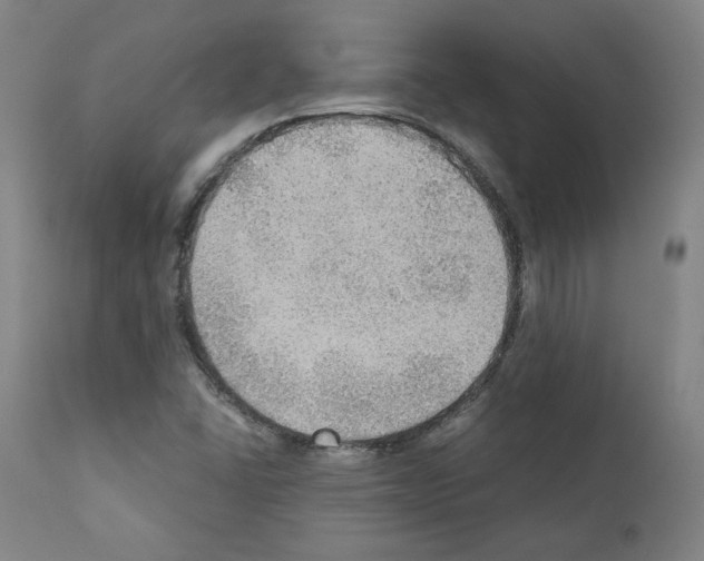 X0000110891406200907301531