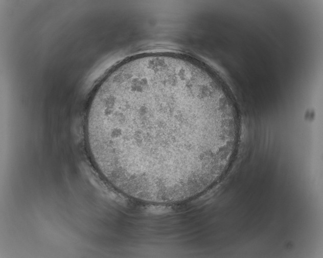 X0000110891407200907301531