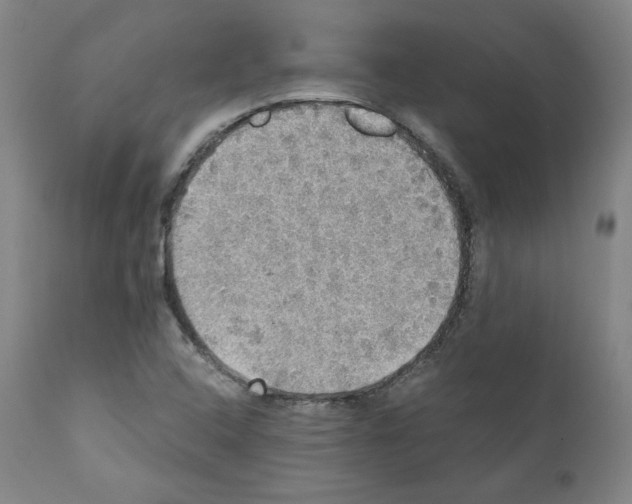 X0000110891408200907301531