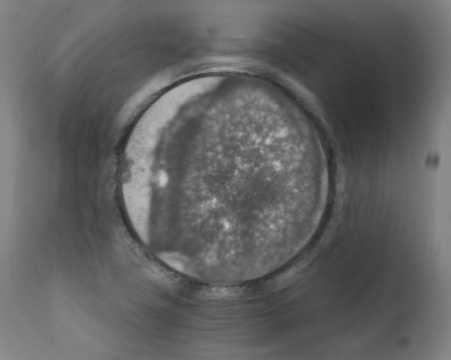 X0000110891411200907301531