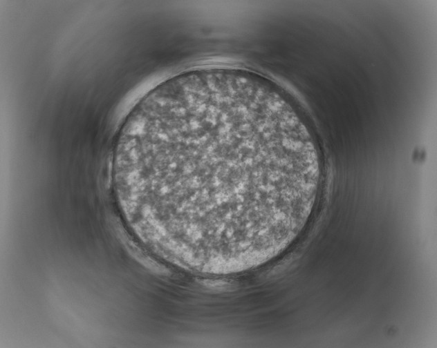 X0000110891413200907301531