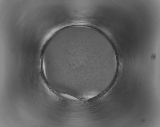 X0000110891414200907301531
