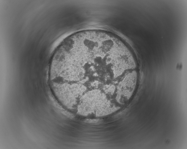 X0000110891415200907301531