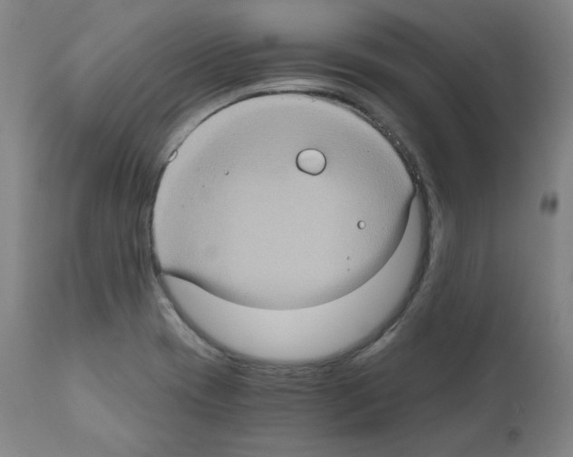 X0000110891417200907301531