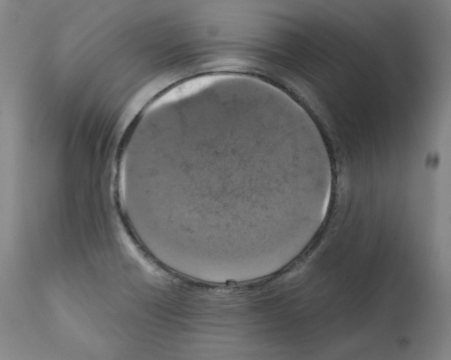 X0000110891418200907301531