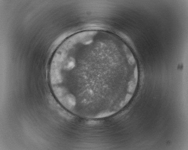 X0000110891419200907301531