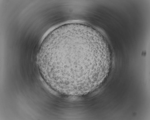 X0000110891420200907301531
