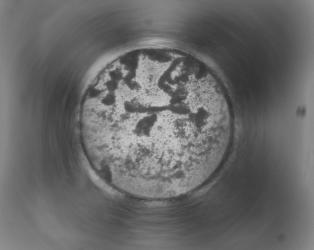 X0000110891421200907301531