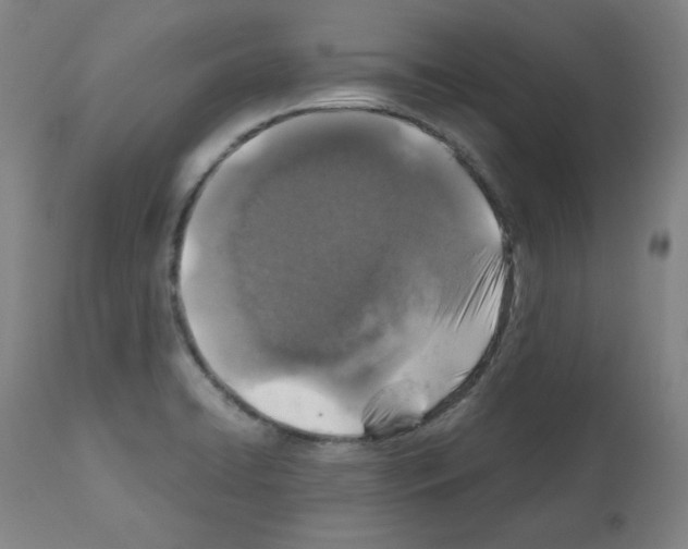 X0000110891422200907301531