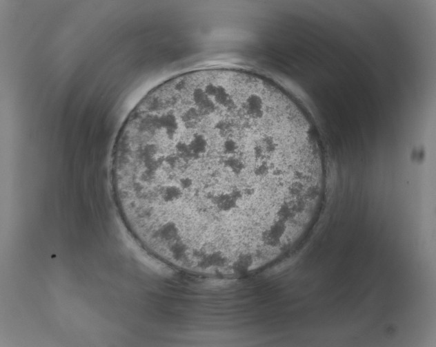 X0000110891423200907301531