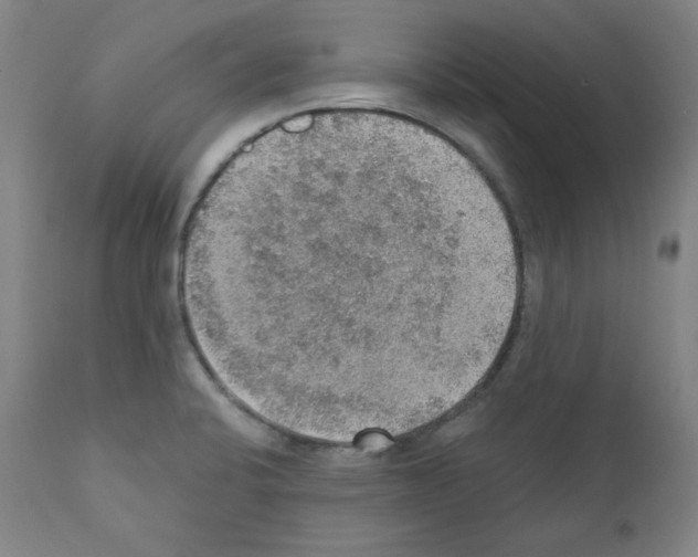 X0000110891424200907301531