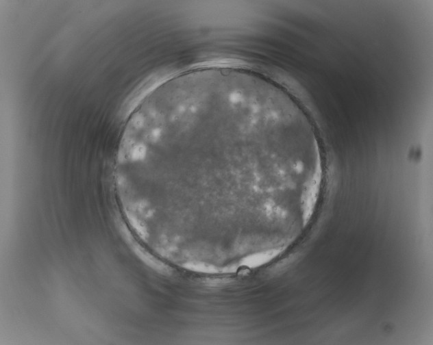X0000110891425200907301531