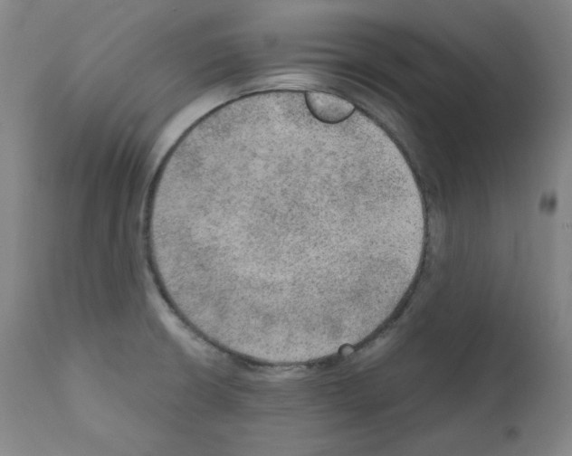 X0000110891426200907301531