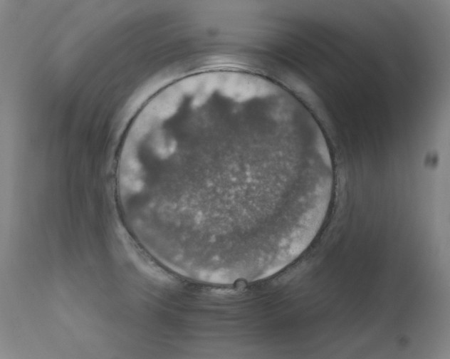 X0000110891427200907301531