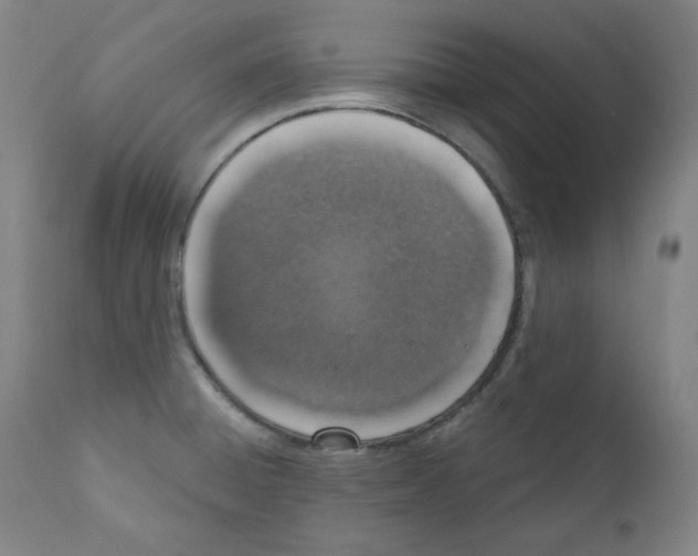 X0000110891428200907301531