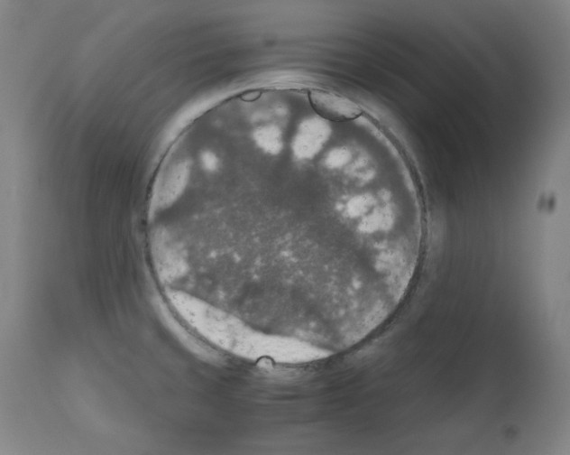 X0000110891429200907301531