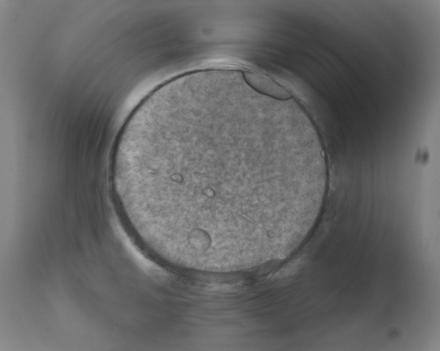 X0000110891430200907301531