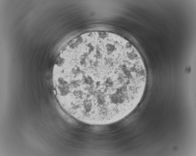 X0000110891433200907301531