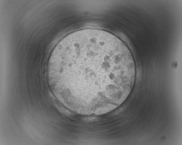 X0000110891435200907301531